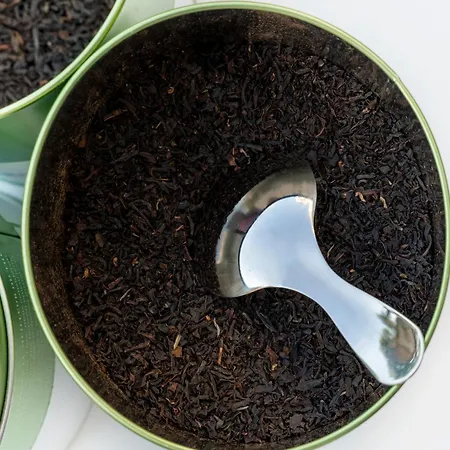 Novotel Centre Hotel