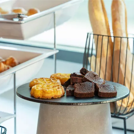 Novotel Centre 호텔 낭시