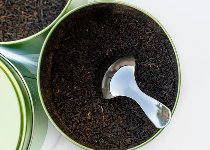 Novotel Centre Hotell