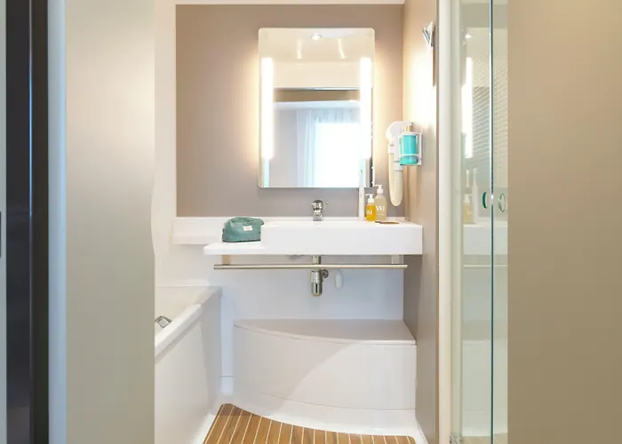 Novotel Centre 4* נאנסי