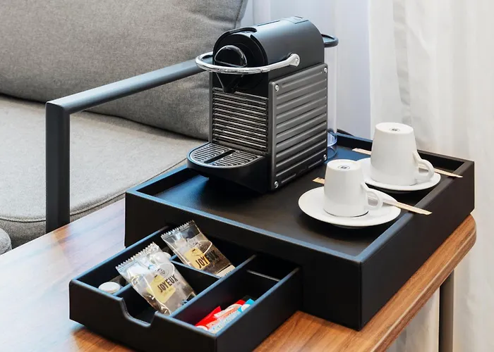 Novotel Centre מלון נאנסי